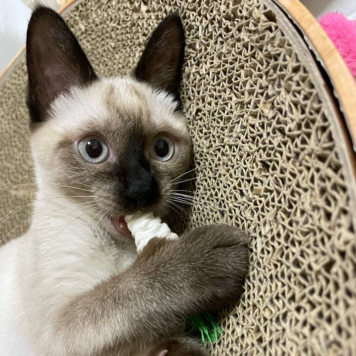 A27b695a 3557 427a 98eb 3dc16184c9d4 1691438094770