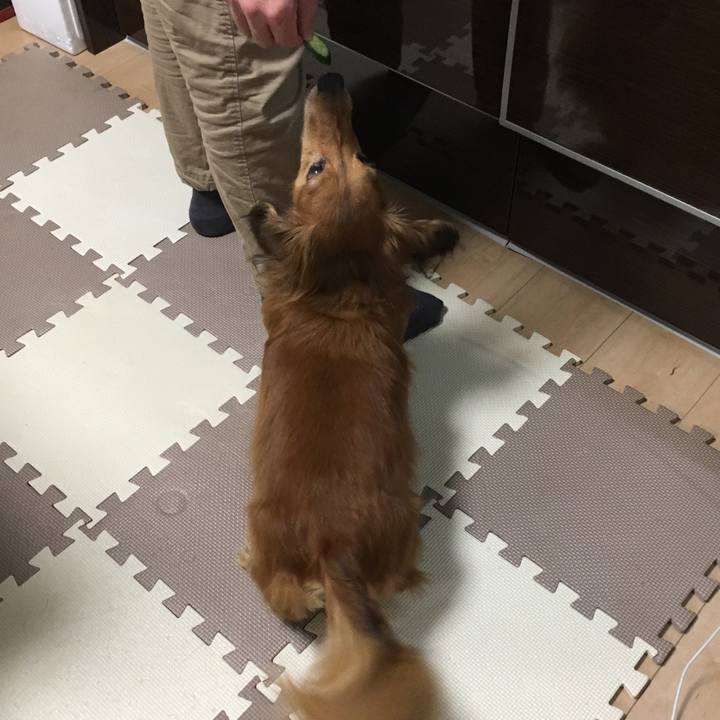 A27b6b60 2158 4d61 9caa 40e04dd554f4 1550671338399