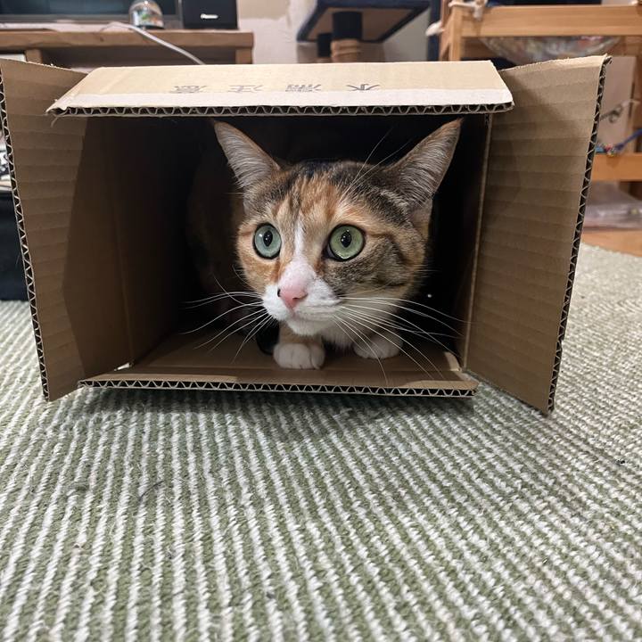 A27b7682 cfac 48e2 8d12 8f1b82406d16 1743294167658