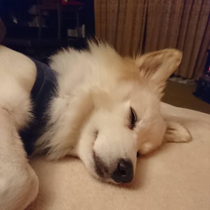 A27b7db7 afcc 4512 995e ea381190ed8e 1548968888089