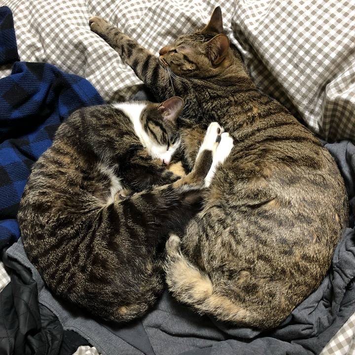 A27b7ec4 3c4e 435f a17c 4e431f60f88e 1515900061261