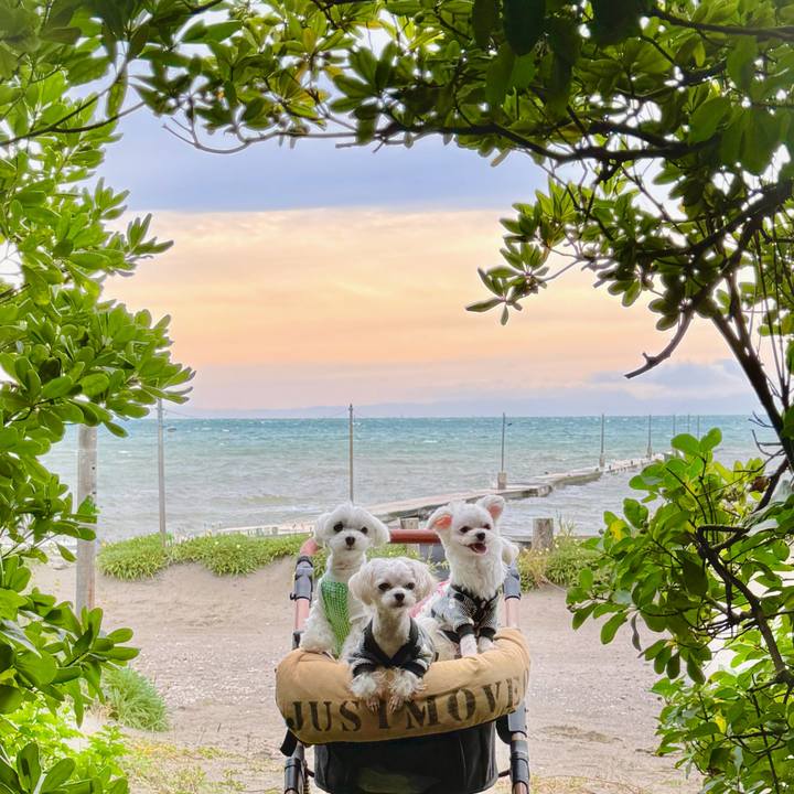 A27b8136 33bf 43ed be81 d7be9e9aa532 1762166837908