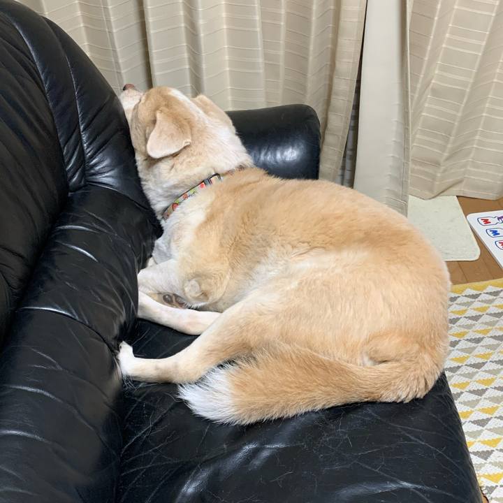 A27b9512 24b0 499a 958d 149862c1d8f1 1573450718153