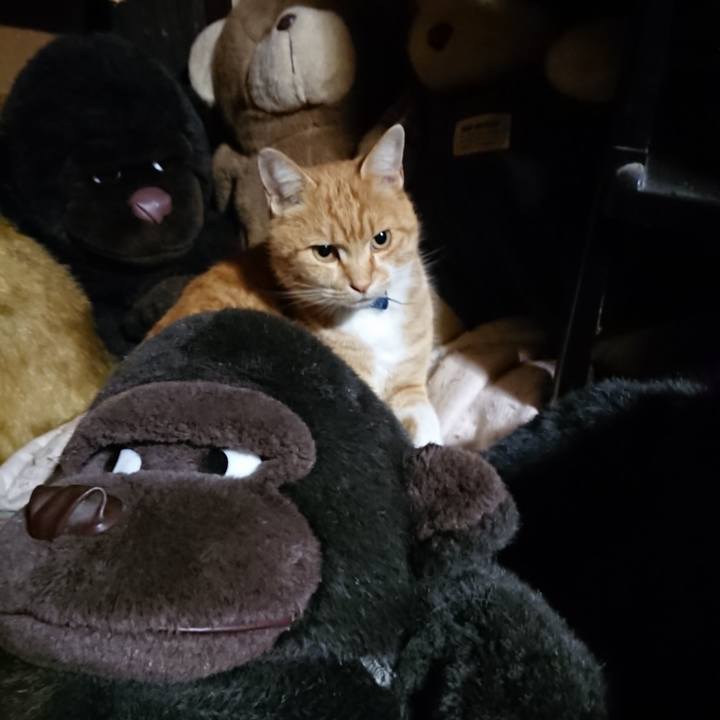 A27b977e c2b1 4ca1 ab57 28354440b455 1606474210717