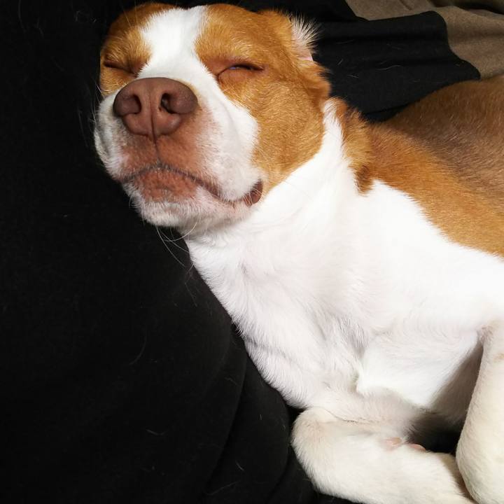 A27bb9e0 e227 4d65 83f3 6d1c758bb900 1557669765224