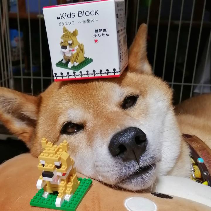 A27bbec7 58e6 4344 be9d 62e1d0ab0599 1621415608131