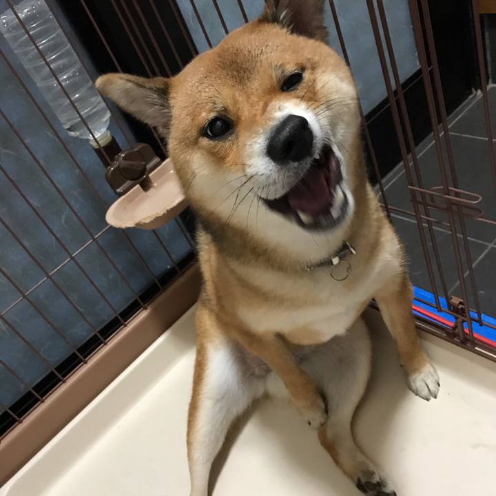 A27bcb51 8b2c 436a b844 d9d7e2ef3743 1539678131261