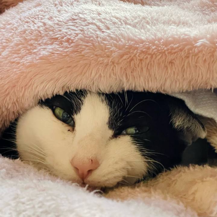 A27bcd31 ff3a 4fec 941b 8214dc6738e0 1644026840826