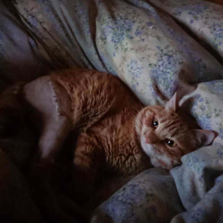 A27c001c 665f 4c11 b81e b44f838b5323 1654288949415