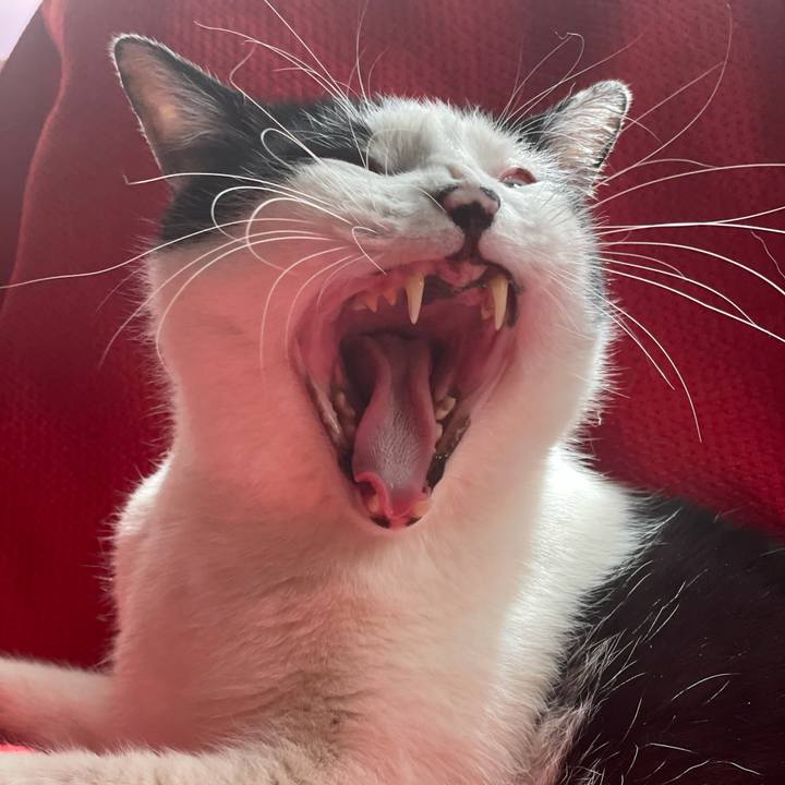 A27c5715 651a 479c be9c cf35bc96d483 1615351948340