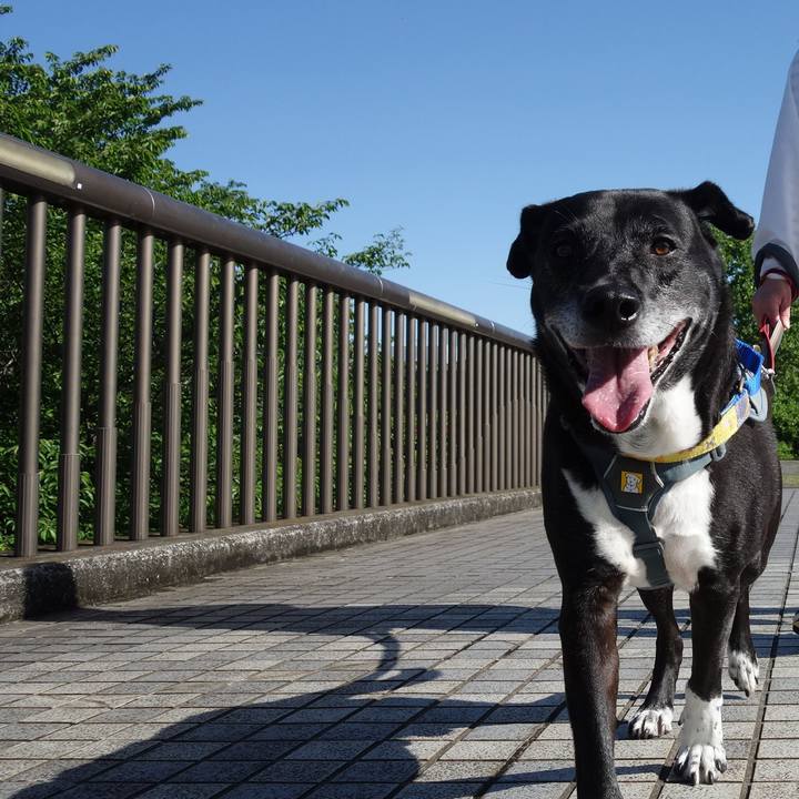 A27c9fab 58a8 47b5 a49f 8825337db50e 1746578991350