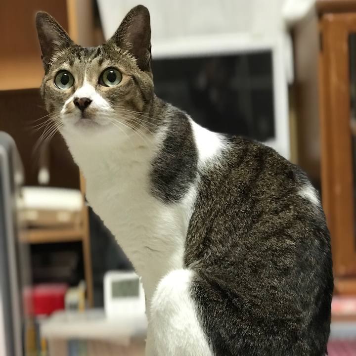 A27cc1b4 e84e 430e 8b05 20df51ca771a 1535937082730