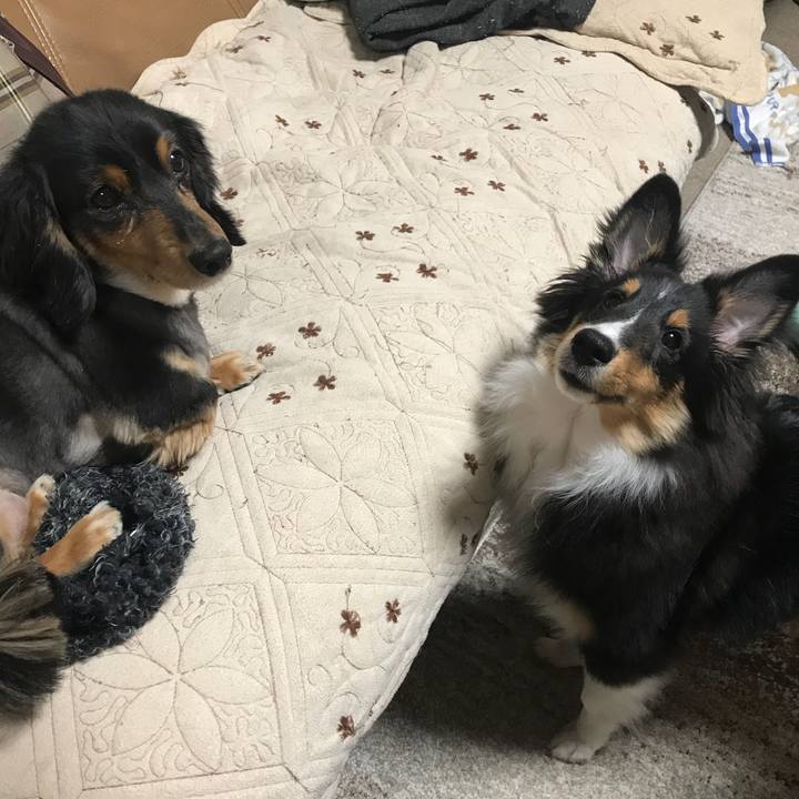 A27ccb58 37b9 4339 b4a3 cdd58044d266 1517440161540