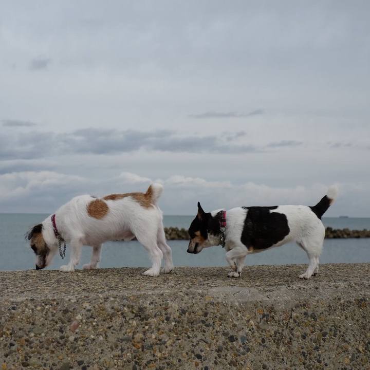 A27ce419 2481 4d73 879d 2140cefe85c9 1539575033424