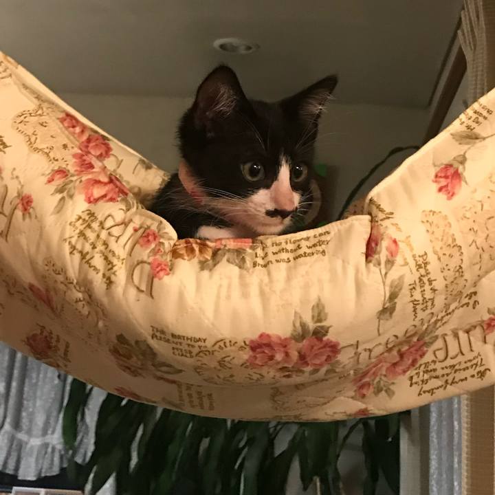 A27cfd55 e7bc 4772 8d1f 7318a2a67990 1661084631668