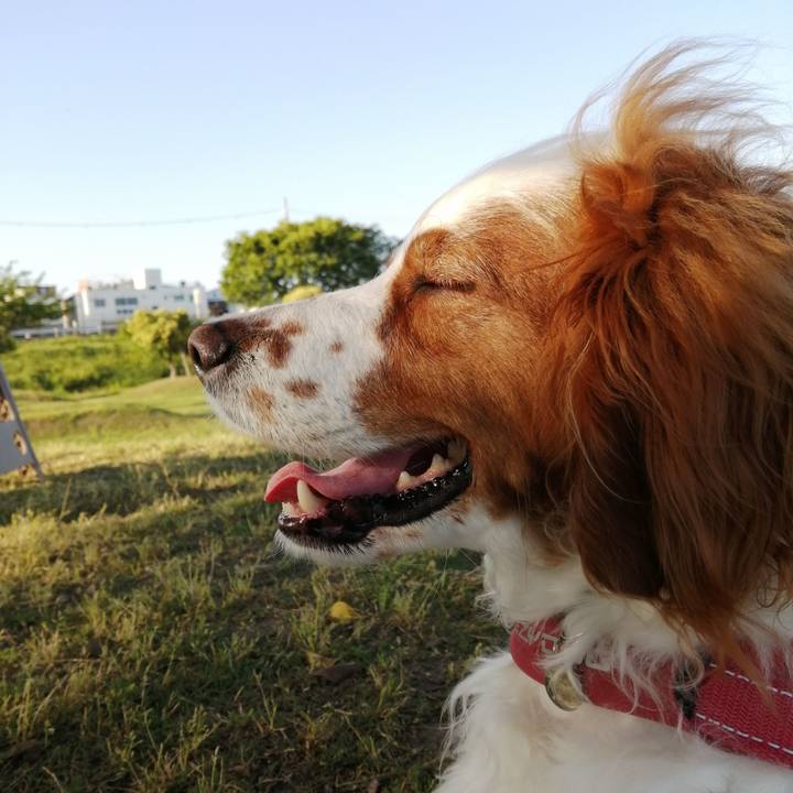 A27d140a e7f7 447b a358 d844d809f90a 1589284945427