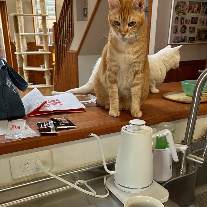 A27d4a71 0d78 4511 9582 ce2fdd5a229d 1684274314857