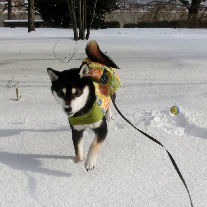 A27d679c b23c 4eb5 9aa4 c1a57aef2e7c 1518915557411