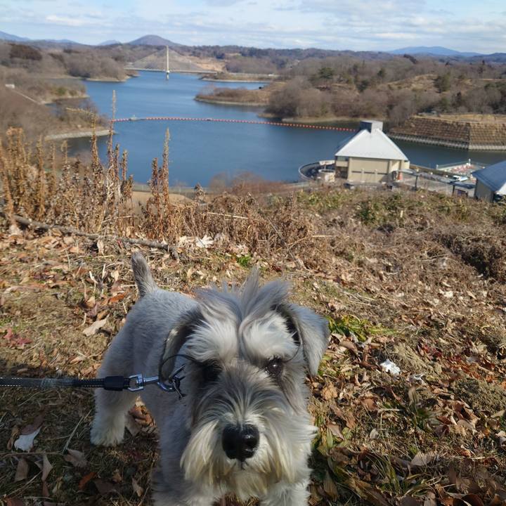 A27d8026 2170 491b afc2 5ed2e46a4414 1770708865562