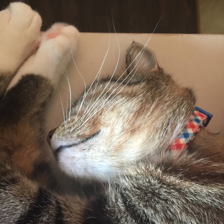 A27dd3fc f1e6 41b3 bc75 65fb2ba0f699 1570173390376