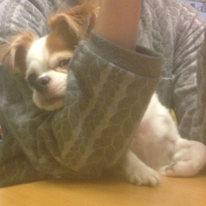 A27de378 cace 43aa a383 1b0f53c2bb0b 1512300009928