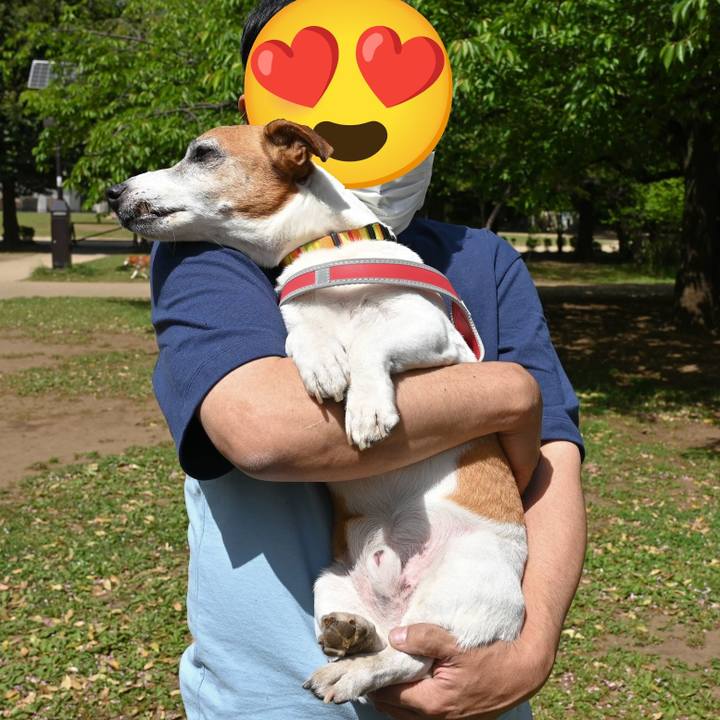 A27e0152 33e0 4f36 83ad d5142eae4fbb 1758893763845