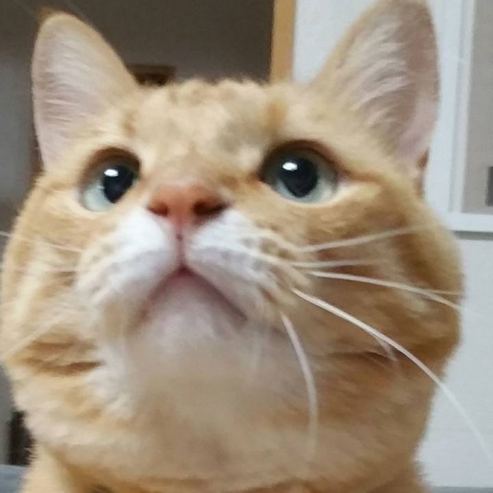 A27e3773 79a5 466c 8369 64b11f6abeae 1568419902809