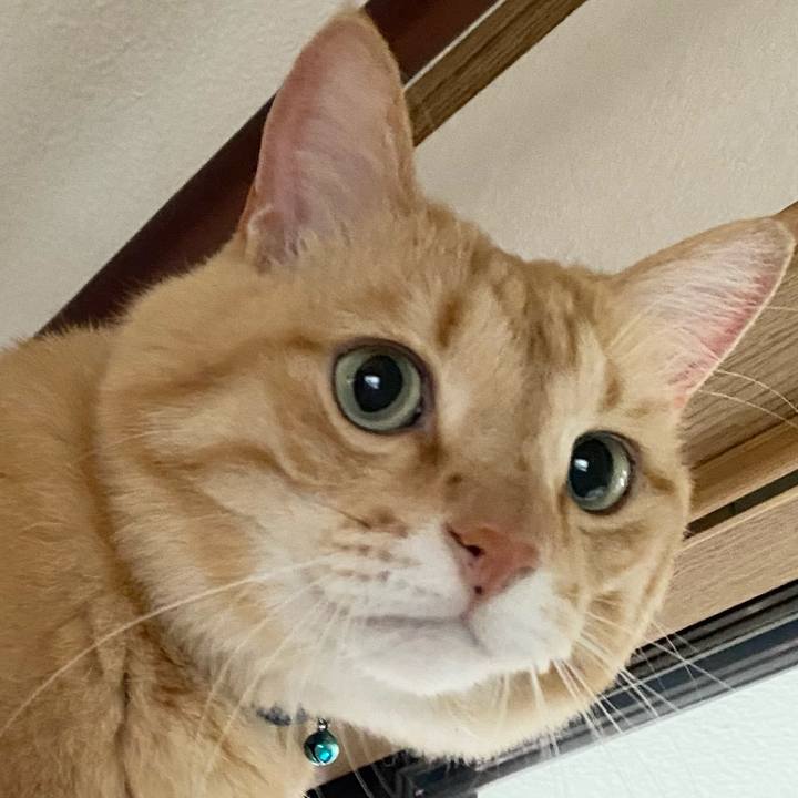 A27e3f8c c333 4403 8db5 e56cd343abca 1625906068052