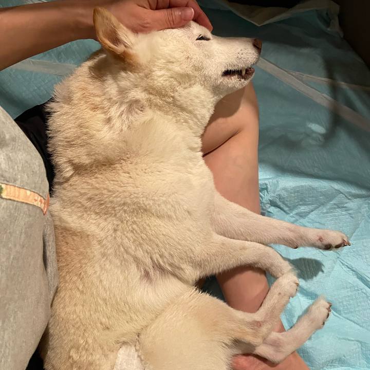 A27e5f32 213a 407b b0c3 7b7b910150a2 1665404147723