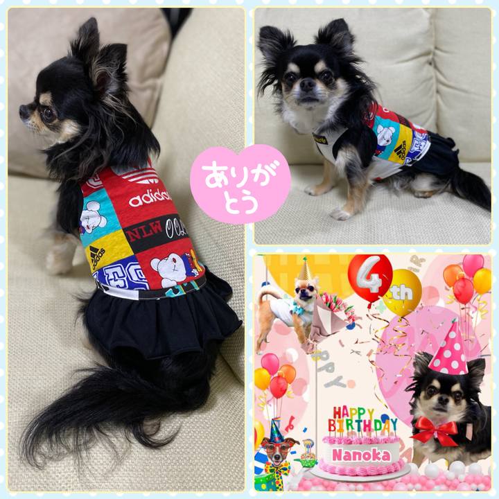 A27e68c6 ebe3 40a2 9bd0 aa1d97d54a3b 1654733202181