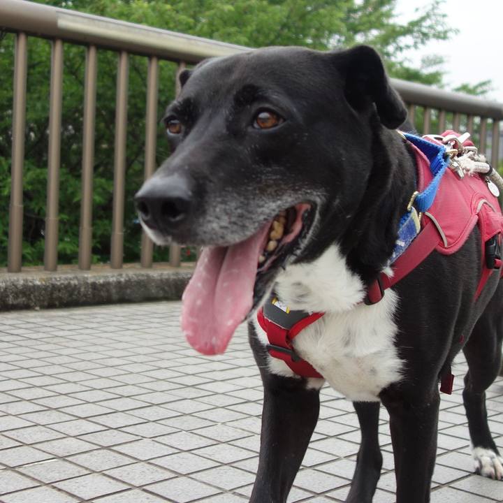 A27e7201 64e5 4733 8700 49836bb78a1c 1686360343966