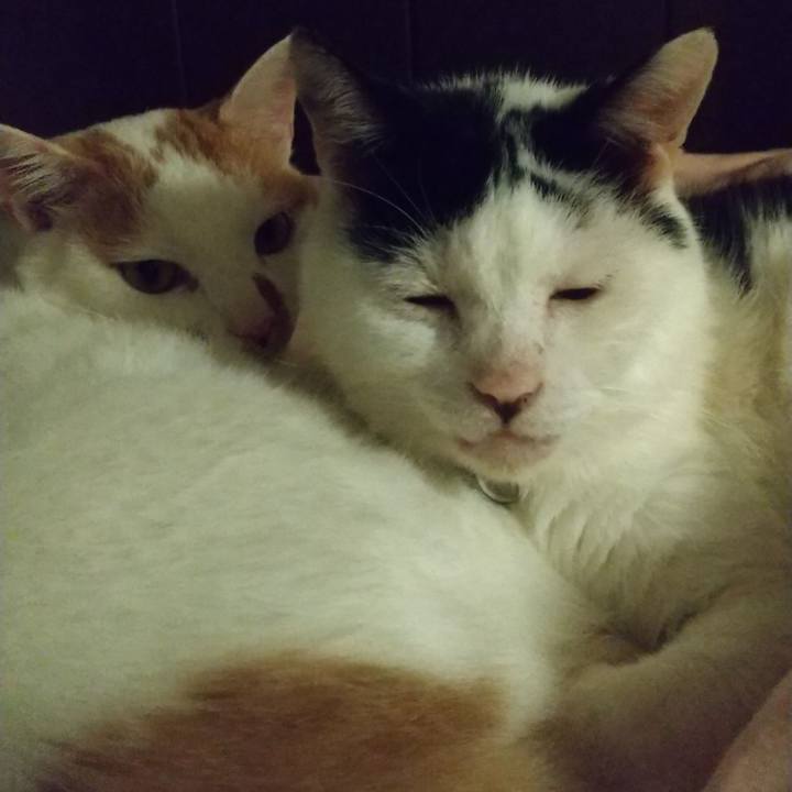 A27e8305 17c5 4bed 80e8 10292ae0346f 1696856468444