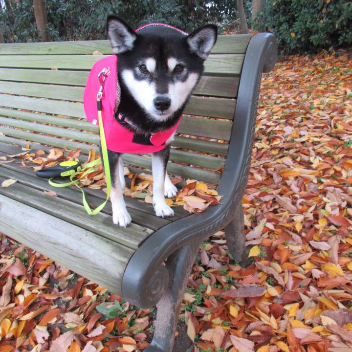 A27e861e c881 4eac b937 1f7b7123c4af 1544402258132