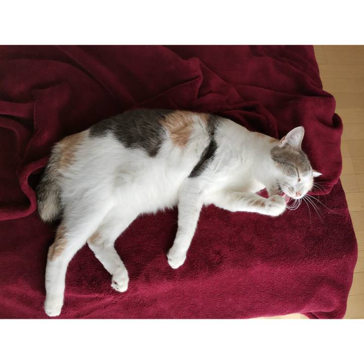 A27e89e0 8d44 4592 84d0 e289ab50ab24 1665901411095