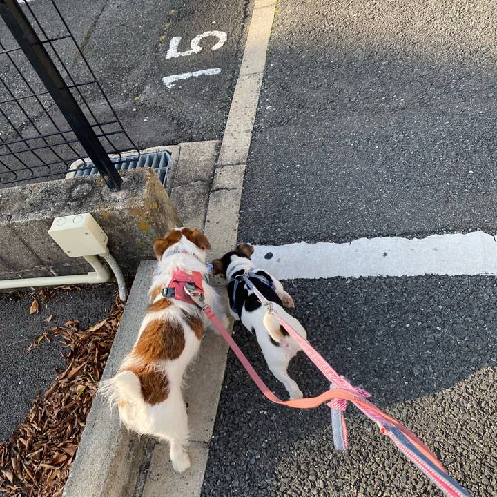 A27e8adb 3129 44f0 8050 a79223b53cd3 1744844124094