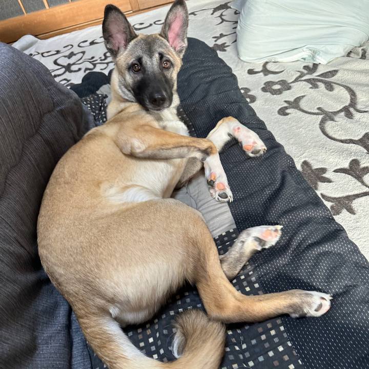 A27ef066 2e58 46b9 ba35 988986ef1fa5 1709530743473