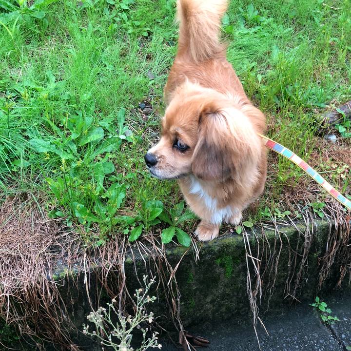 A27efabf 21b9 465b bc28 fc465994f89d 1508541050088