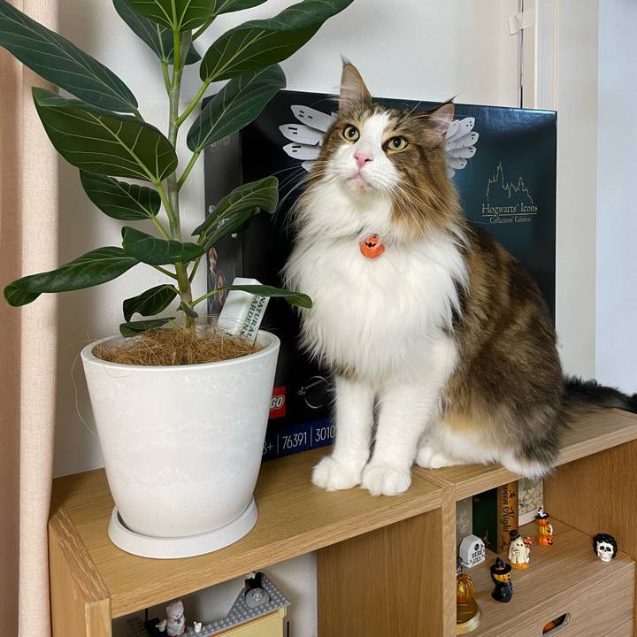 A27f0a98 54b1 4626 899f 7392578c917d 1698262904806