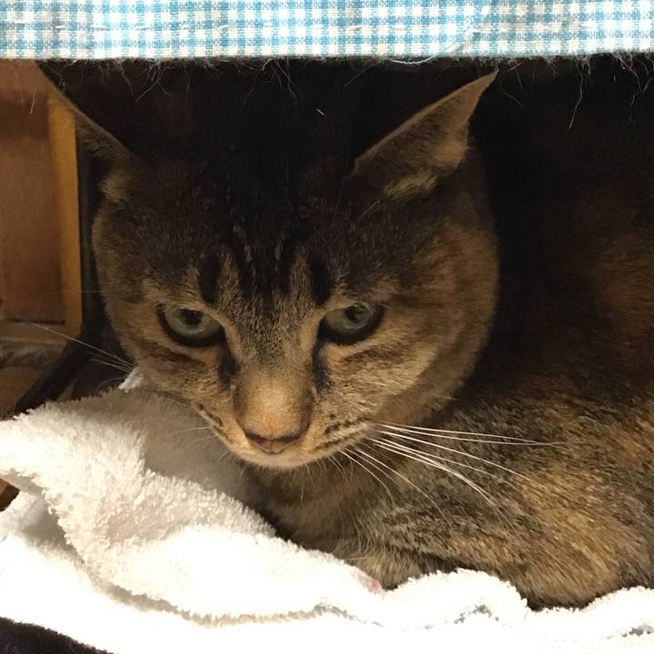 A27f2cf9 40b2 40ce b109 7be108ca9727 1673530640001