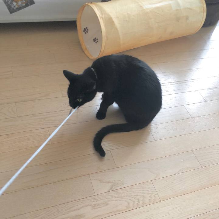 A27f6632 d099 4667 ab31 3831df408f50 1602383543220