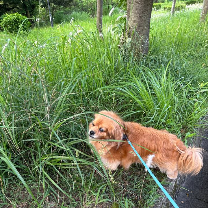 A27fc740 0b91 4d37 bace 977032ba034b 1685570123925