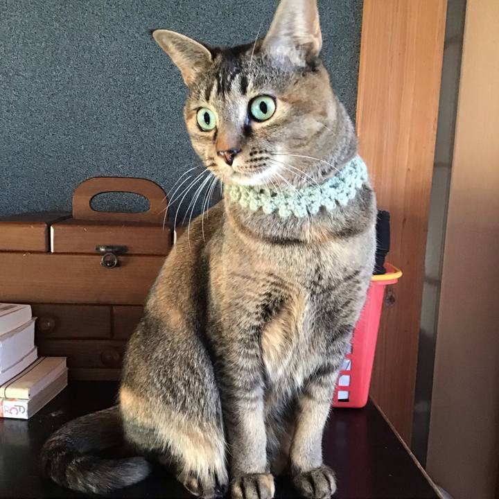 A27fc889 395b 48b8 bcde e1dbf367ef16 1644139581268