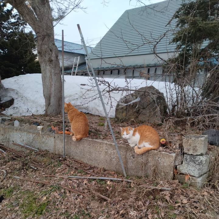 A27fcad0 2863 4452 8fcb b615a4bb89cd 1772183528124