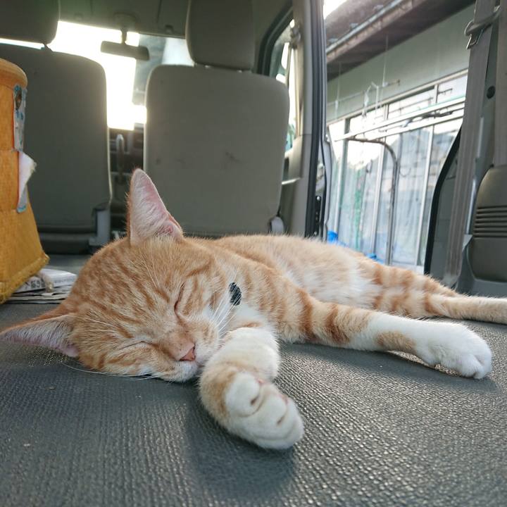 A27fdcc6 ab5c 4df3 b420 17beac539989 1564909208779