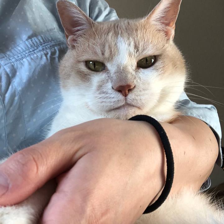 A27fdf0b 5f94 4159 9d0f 36cdd4b5c35f 1528110708509