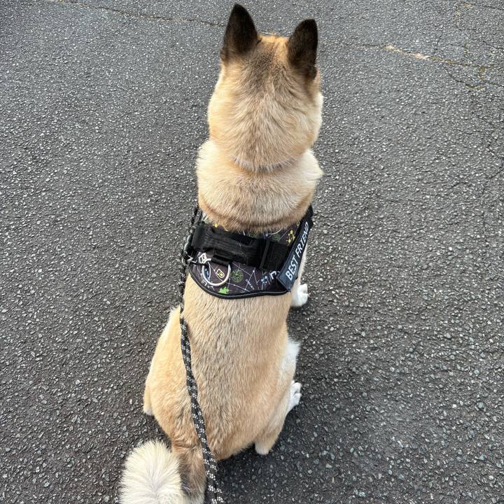 A2804ad5 67d1 4692 abd1 725a18d5b13f 1752151189951