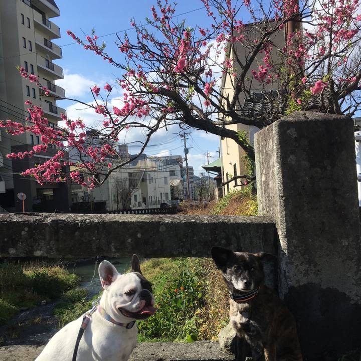 A2807a65 876f 4d3e 9fa7 3d546e8d92b4 1552290162266