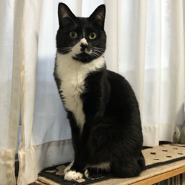 A28139f1 cf1b 4fc2 8f4d 232c46027bbe 1635738967947