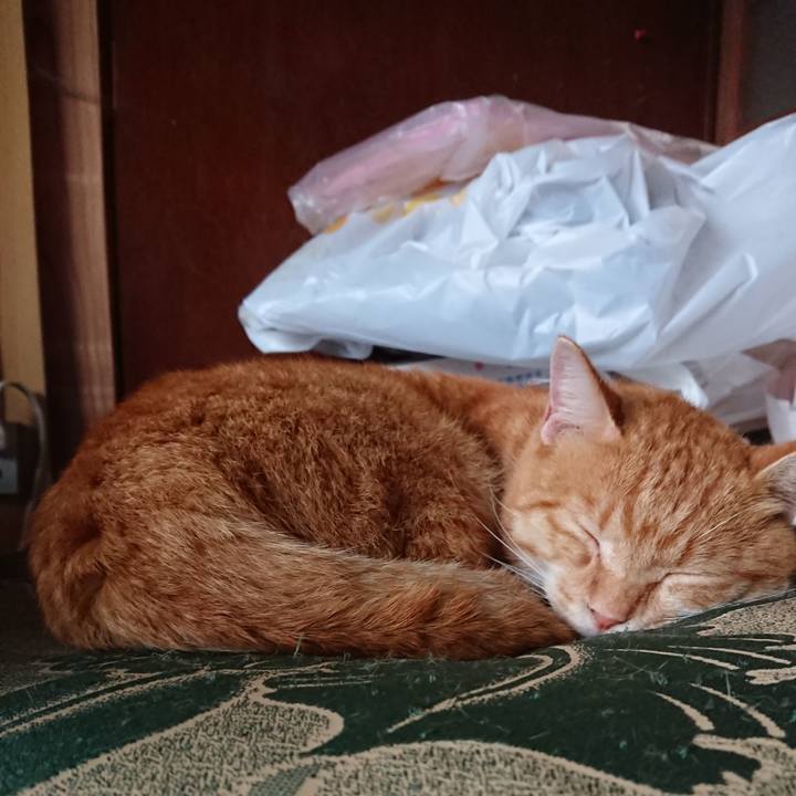 A2814667 9d9c 4b06 b90a 84d54372a0f2 1567374905800