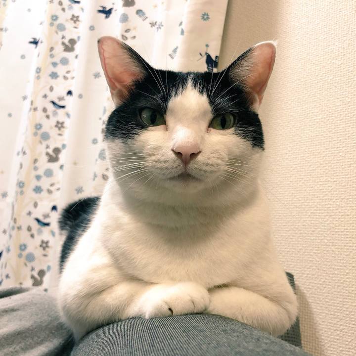 A2819ed0 e27f 4300 9d96 70fa132bda6d 1540537526090